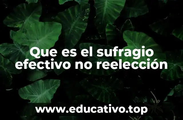 Que es el sufragio efectivo no reelección