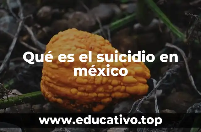Qué es el suicidio en méxico