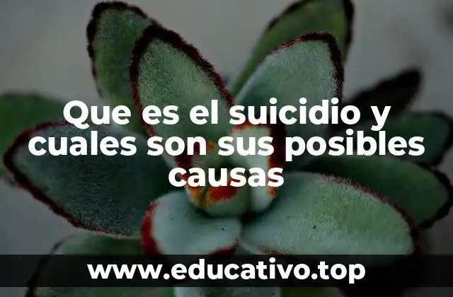 Que es el suicidio y cuales son sus posibles causas