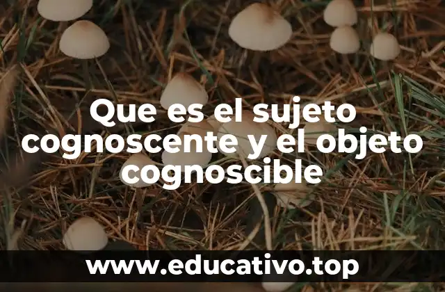 Que es el sujeto cognoscente y el objeto cognoscible