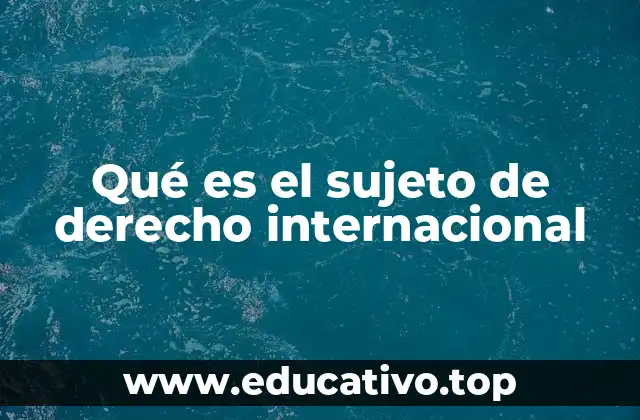 Qué es el sujeto de derecho internacional
