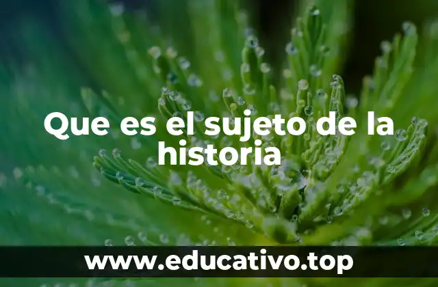 Que es el sujeto de la historia