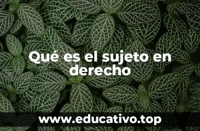 Qué es el sujeto en derecho