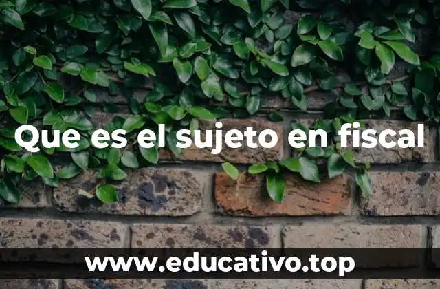 Que es el sujeto en fiscal