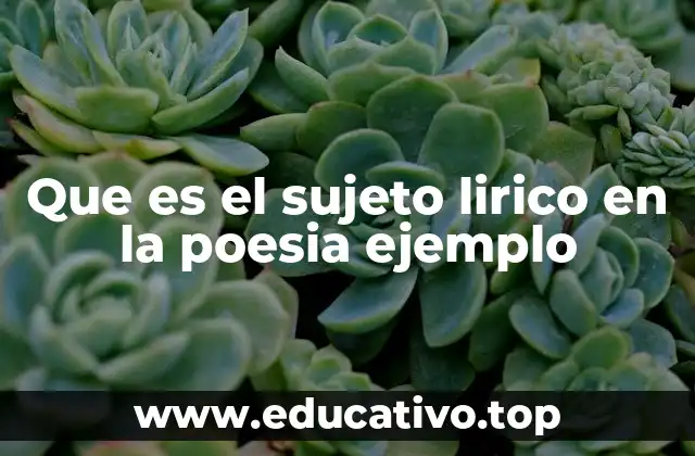 Que es el sujeto lirico en la poesia ejemplo