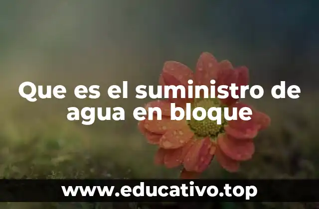 Que es el suministro de agua en bloque