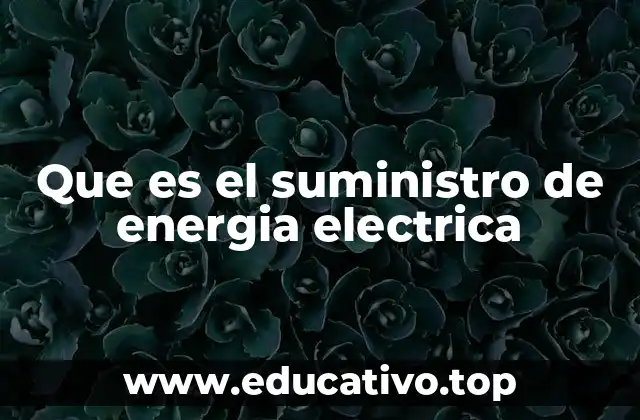 Que es el suministro de energia electrica