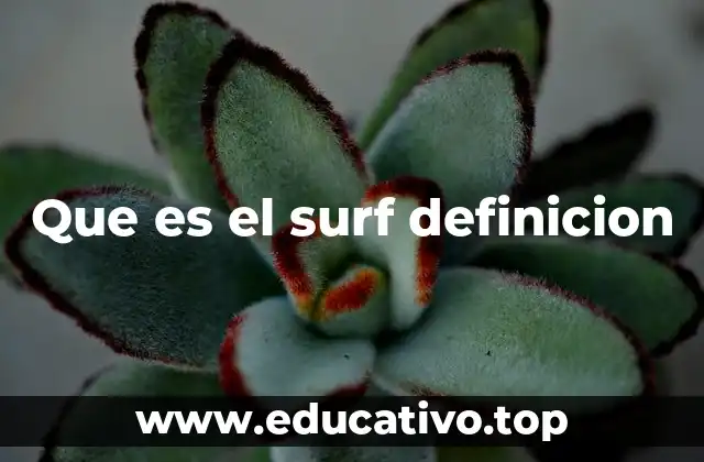 Que es el surf definicion