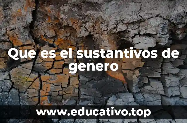 Que es el sustantivos de genero