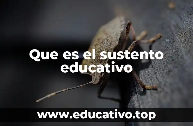 Que es el sustento educativo