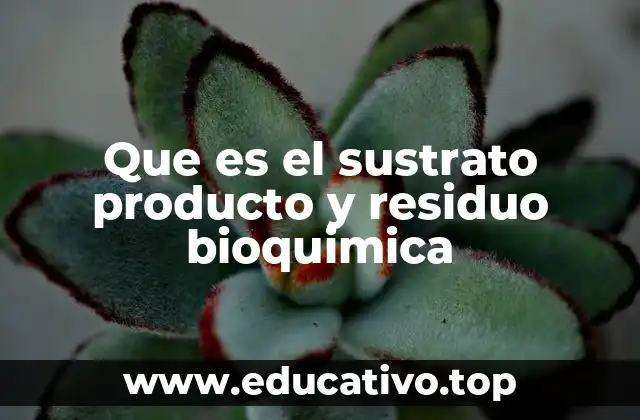 Que es el sustrato producto y residuo bioquimica