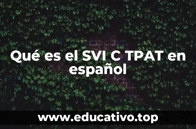 Qué es el SVI C TPAT en español