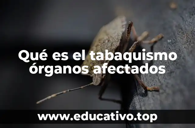 Qué es el tabaquismo órganos afectados