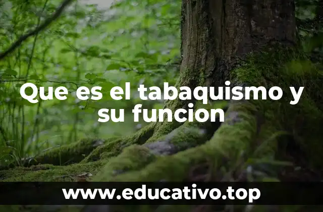 Que es el tabaquismo y su funcion