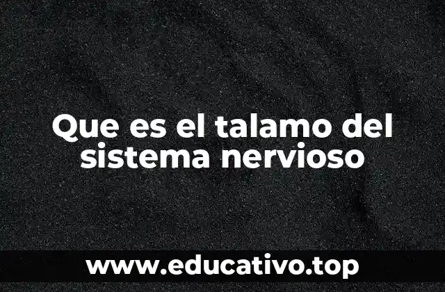 Que es el talamo del sistema nervioso