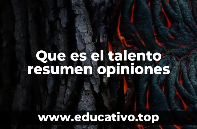 Que es el talento resumen opiniones