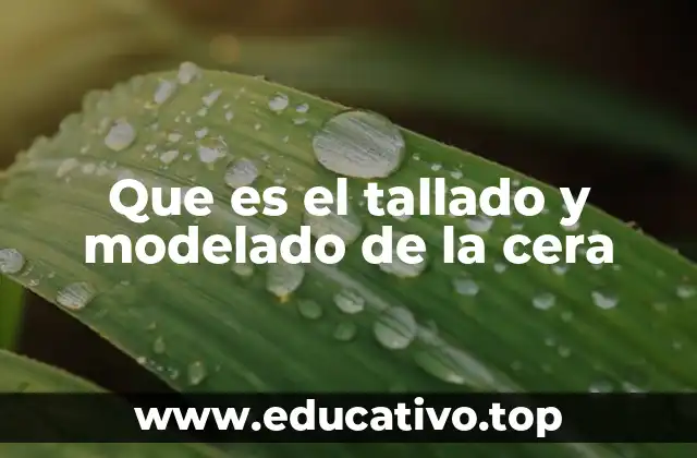 Que es el tallado y modelado de la cera