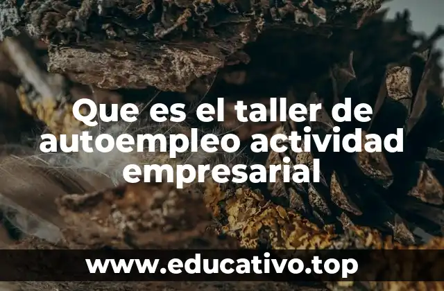Que es el taller de autoempleo actividad empresarial