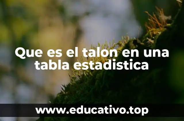 Que es el talon en una tabla estadistica