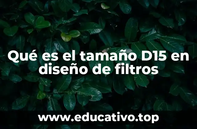 Qué es el tamaño D15 en diseño de filtros