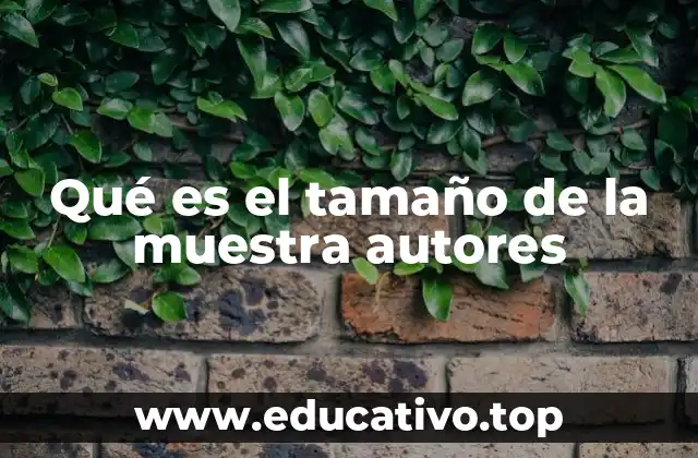 Qué es el tamaño de la muestra autores