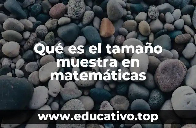 Qué es el tamaño muestra en matemáticas