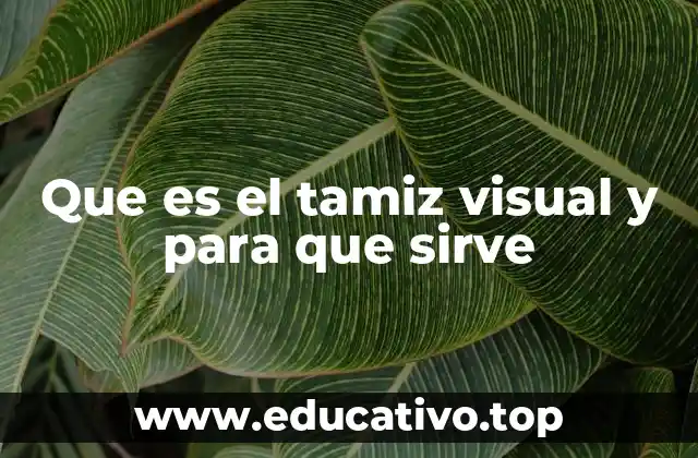 Cómo el tamiz visual mejora la calidad de la selección
