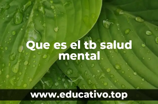 Que es el tb salud mental