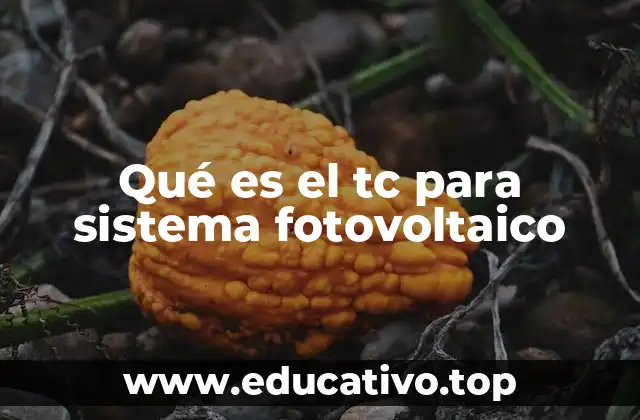 Qué es el tc para sistema fotovoltaico