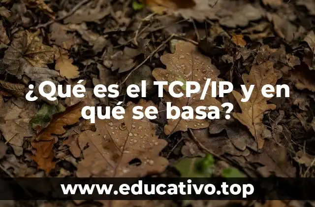 ¿Qué es el TCP/IP y en qué se basa?