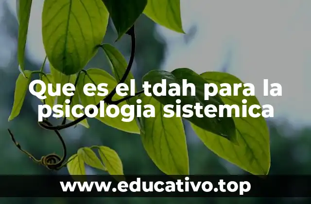 El TDAH desde una perspectiva sistémica