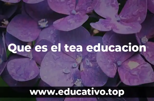 Que es el tea educacion