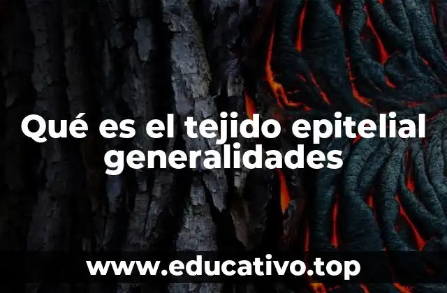 Qué es el tejido epitelial generalidades