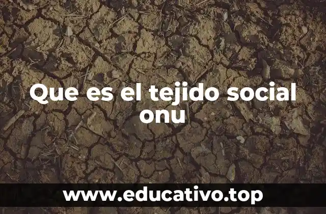 Que es el tejido social onu