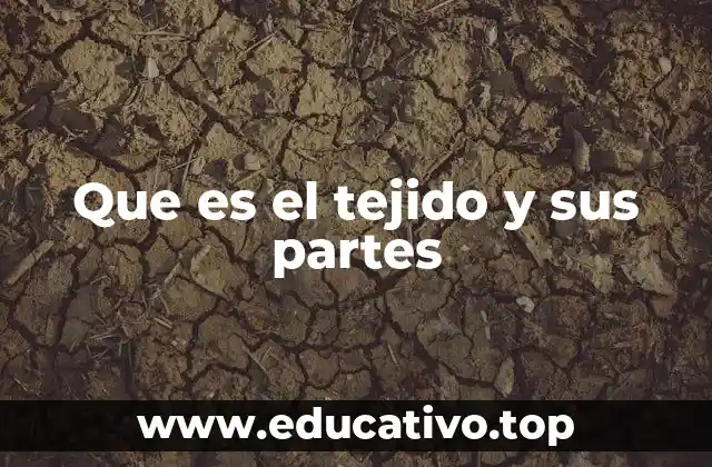 Que es el tejido y sus partes