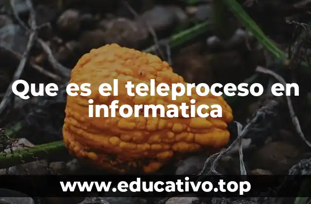 Que es el teleproceso en informatica
