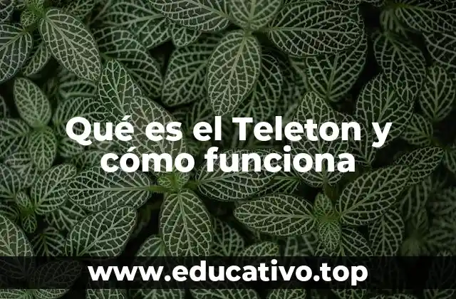 La importancia de la recaudación de fondos en eventos benéficos