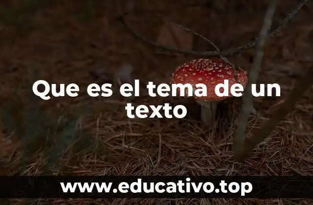 Que es el tema de un texto