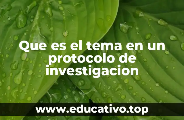 Que es el tema en un protocolo de investigacion
