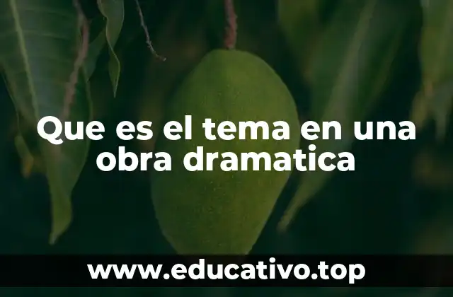 Que es el tema en una obra dramatica