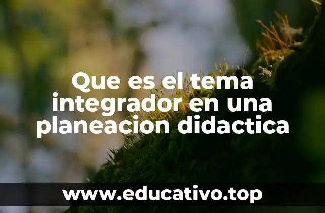 Que es el tema integrador en una planeacion didactica