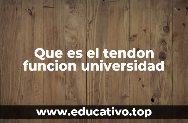 Que es el tendon funcion universidad