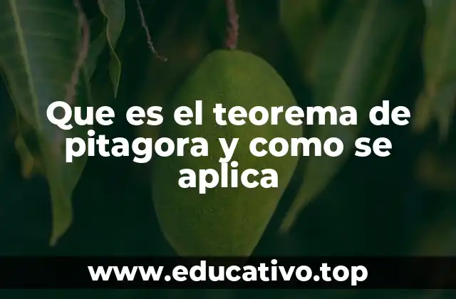 Que es el teorema de pitagora y como se aplica