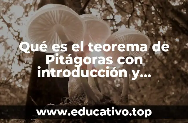 Qué es el teorema de Pitágoras con introducción y desarrollo