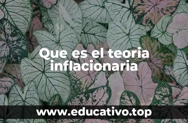 Que es el teoria inflacionaria