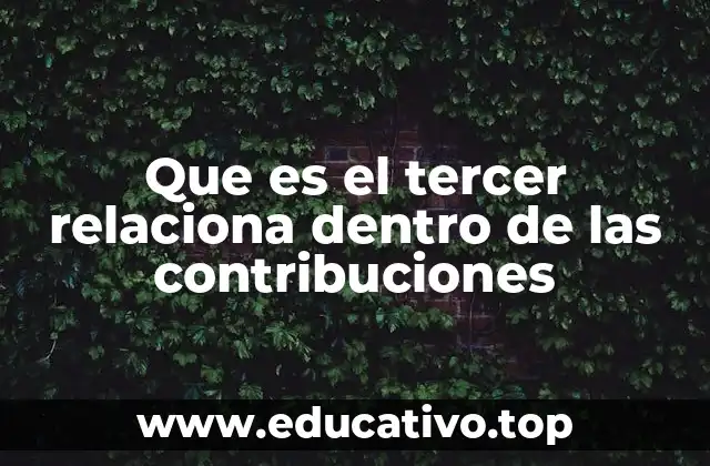 Que es el tercer relaciona dentro de las contribuciones