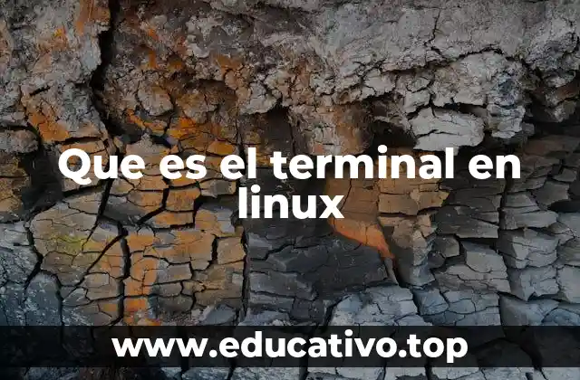 Que es el terminal en linux