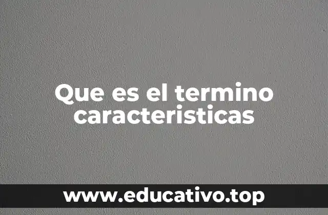 Que es el termino caracteristicas