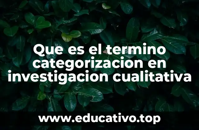Que es el termino categorizacion en investigacion cualitativa