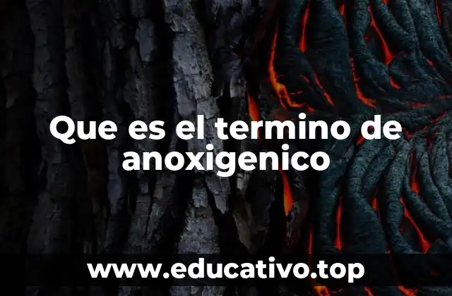 Que es el termino de anoxigenico